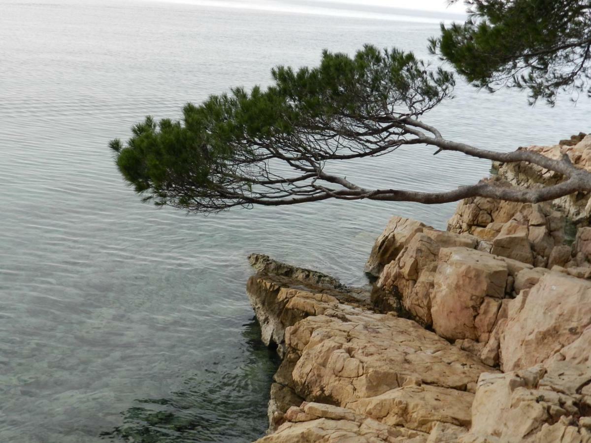 Apartmani Lucija Jurkovic มาลินสกา ภายนอก รูปภาพ